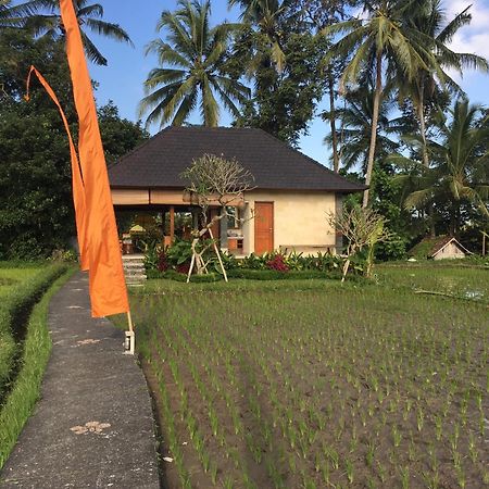 Puri Raya Villa Ubud  Luaran gambar