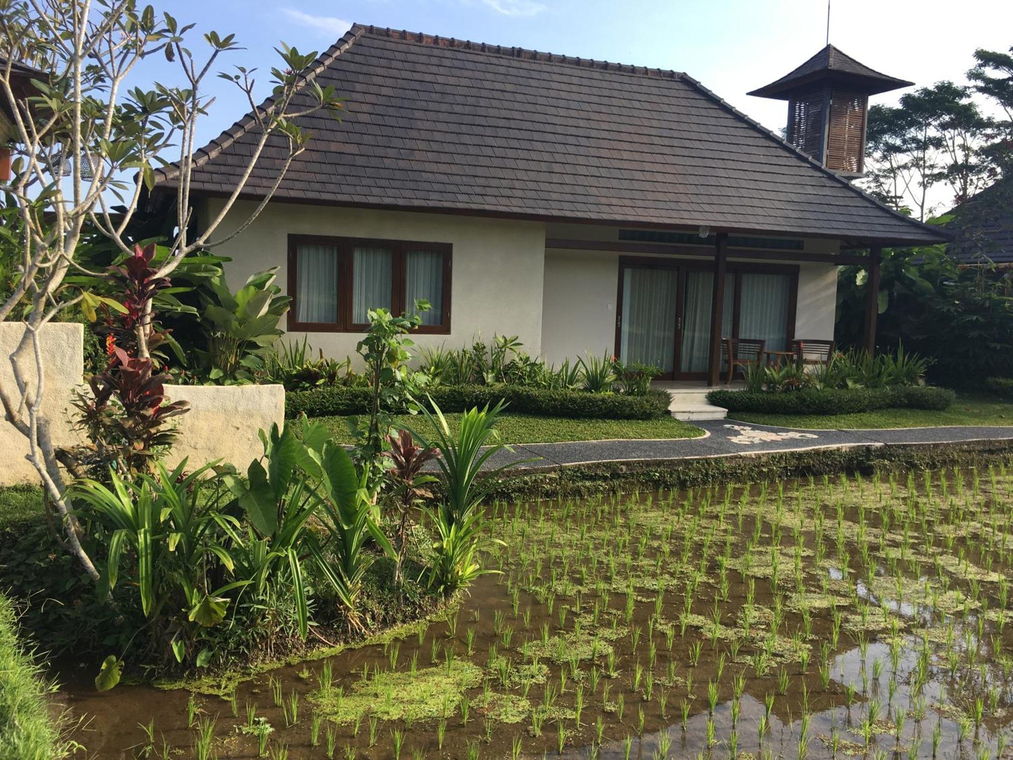 Puri Raya Villa Ubud  Luaran gambar