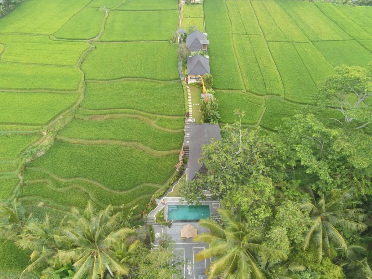 Puri Raya Villa Ubud  Luaran gambar