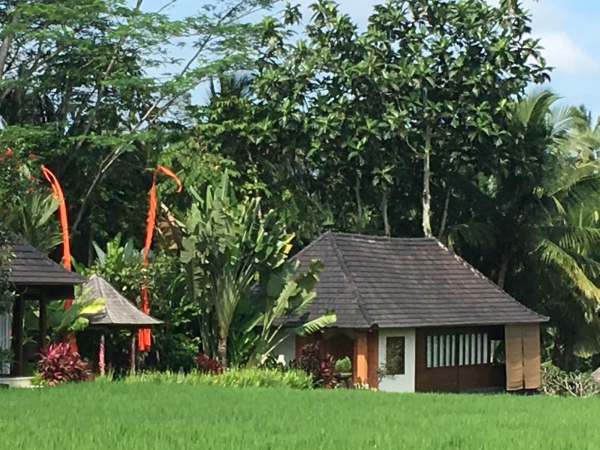 Puri Raya Villa Ubud  Luaran gambar