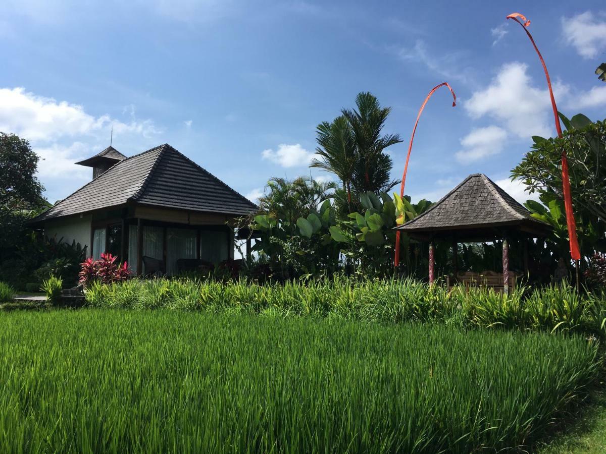 Puri Raya Villa Ubud  Luaran gambar