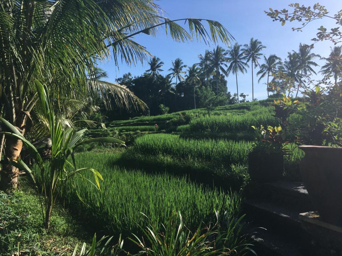 Puri Raya Villa Ubud  Luaran gambar