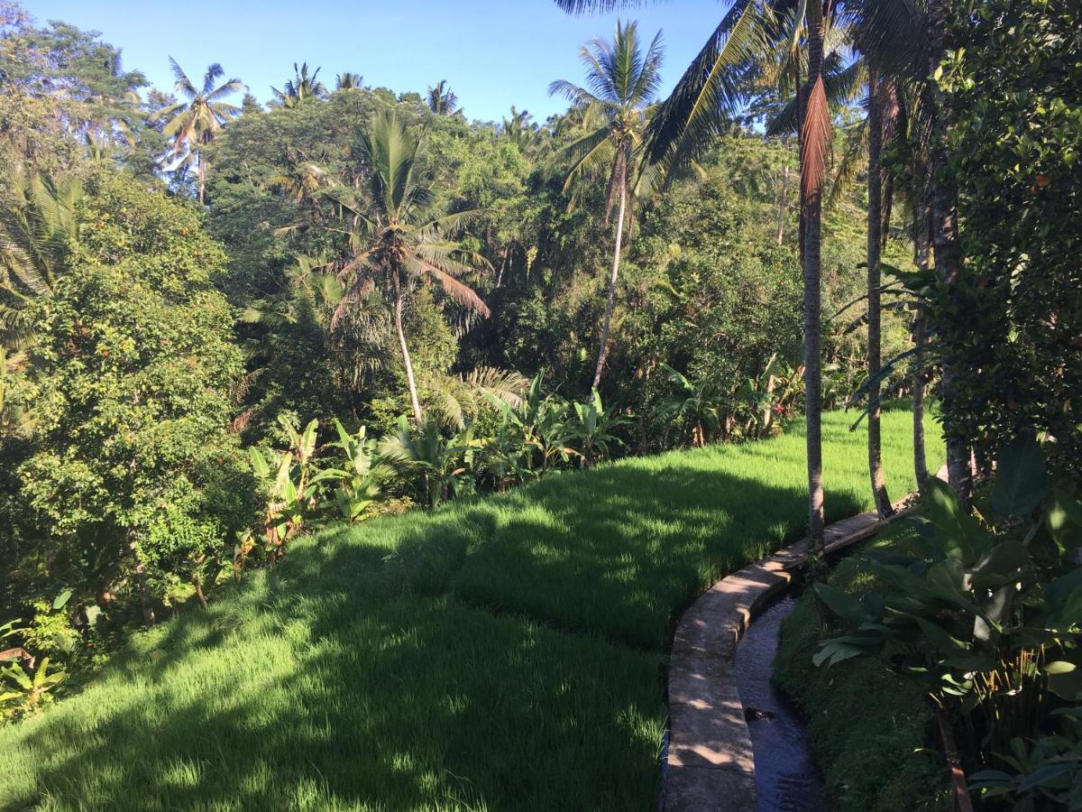 Puri Raya Villa Ubud  Luaran gambar