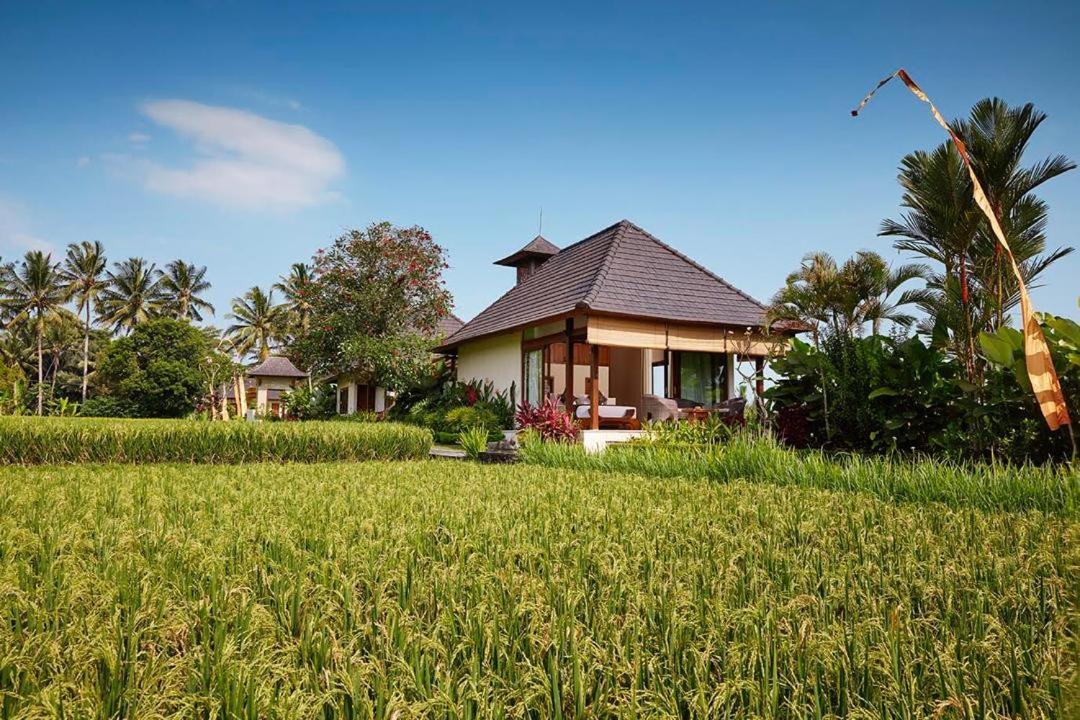 Puri Raya Villa Ubud  Luaran gambar