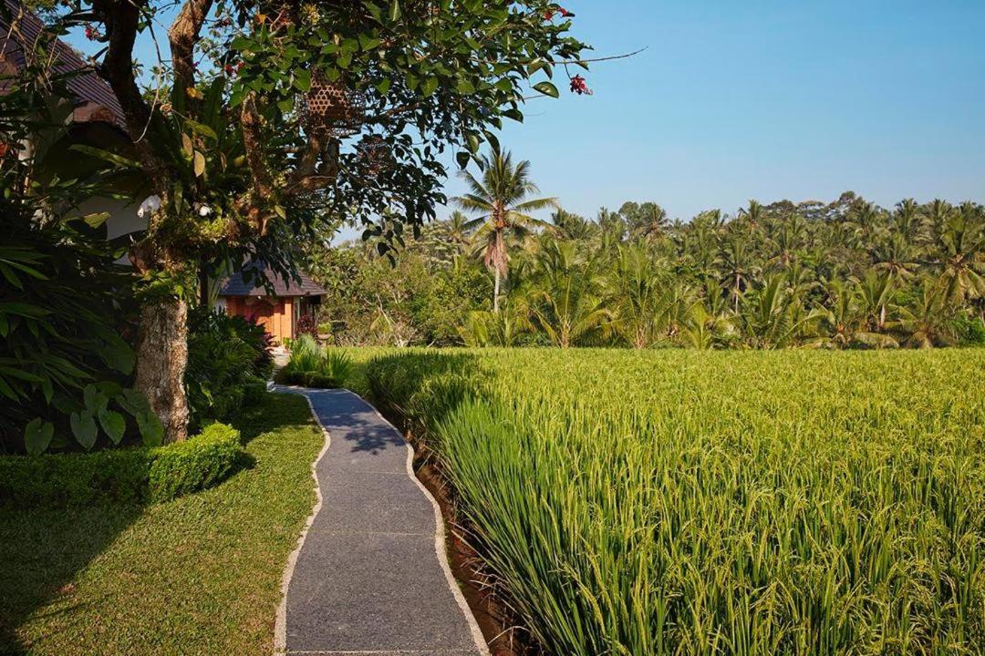 Puri Raya Villa Ubud  Luaran gambar