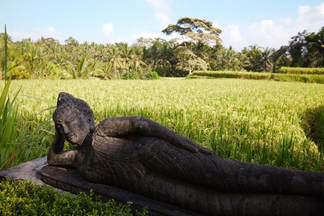 Puri Raya Villa Ubud  Luaran gambar