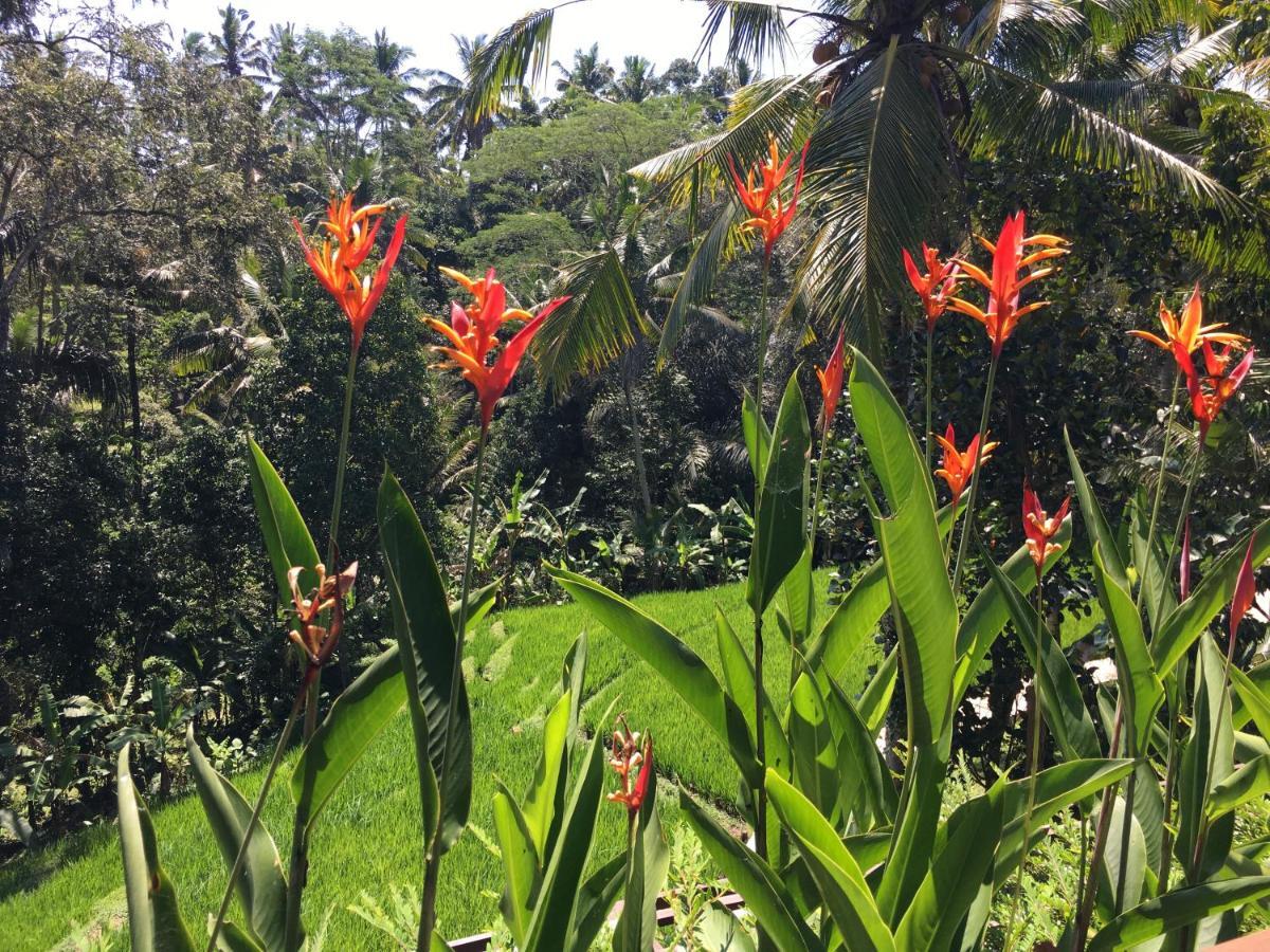 Puri Raya Villa Ubud  Luaran gambar