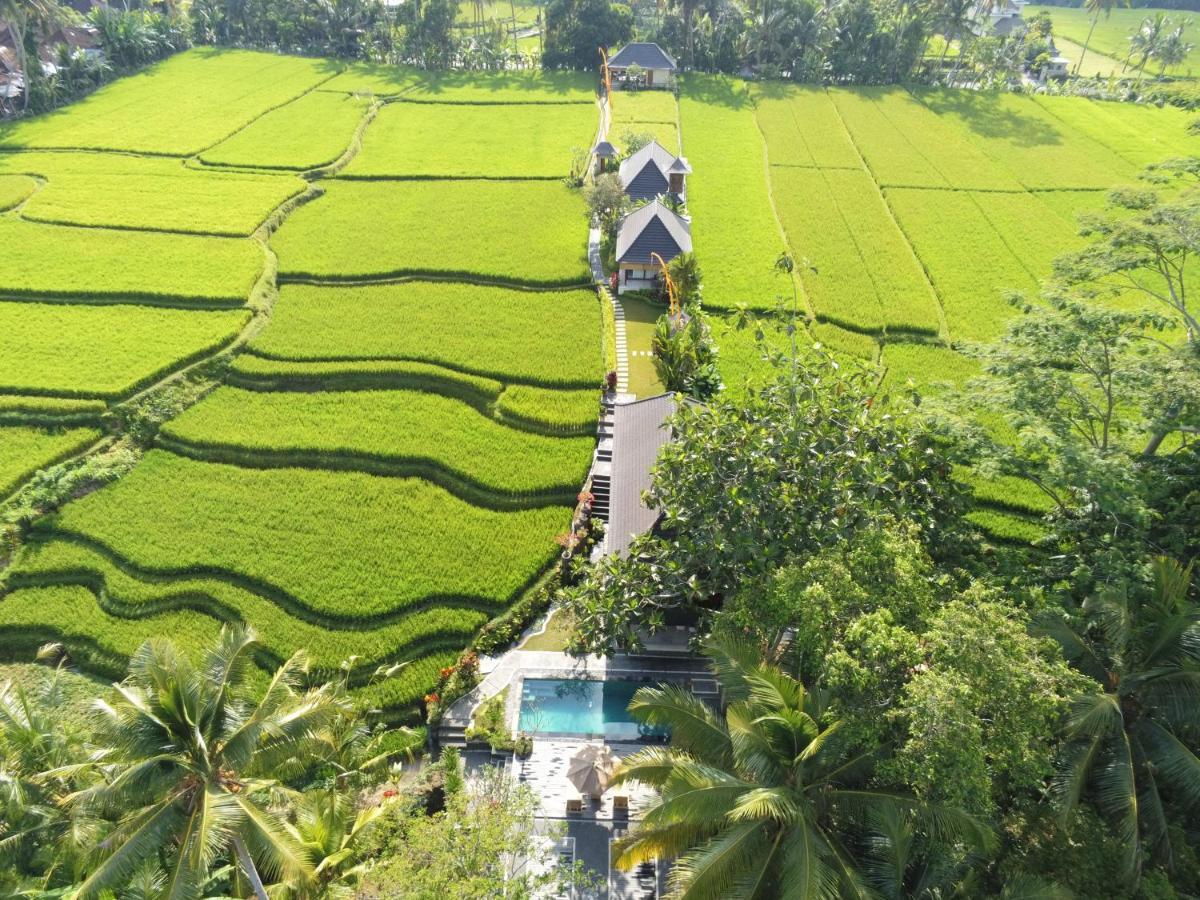 Puri Raya Villa Ubud  Luaran gambar